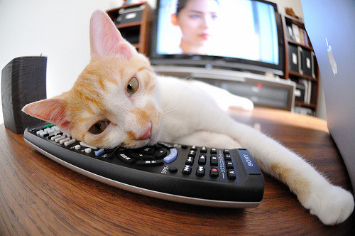 爱游戏官方网站-APEX英雄 青年联赛激烈展开，apex竞赛