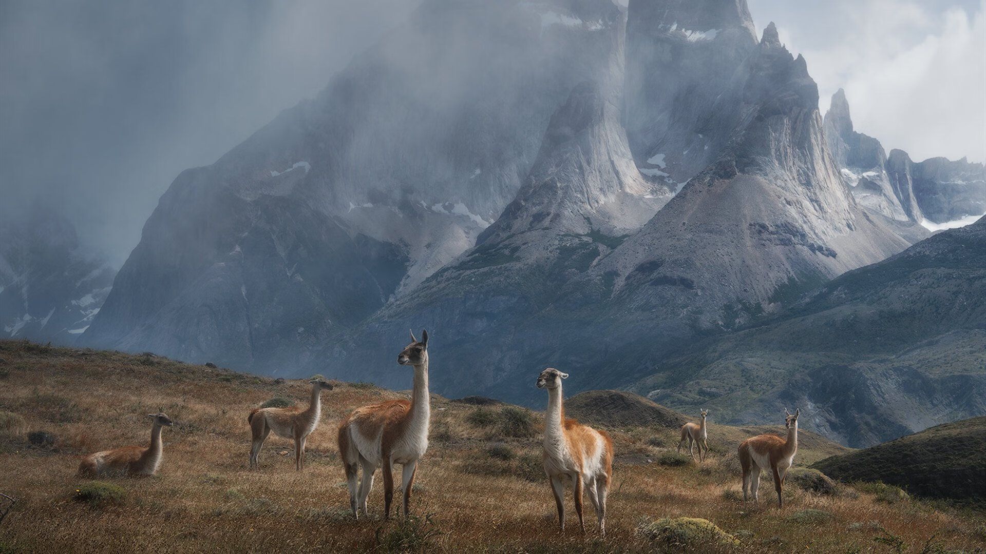 爱游戏娱乐平台-_专业运动员谈：训练中的最大挑战与突破_，运动员通过训练不断提高的竞技能力